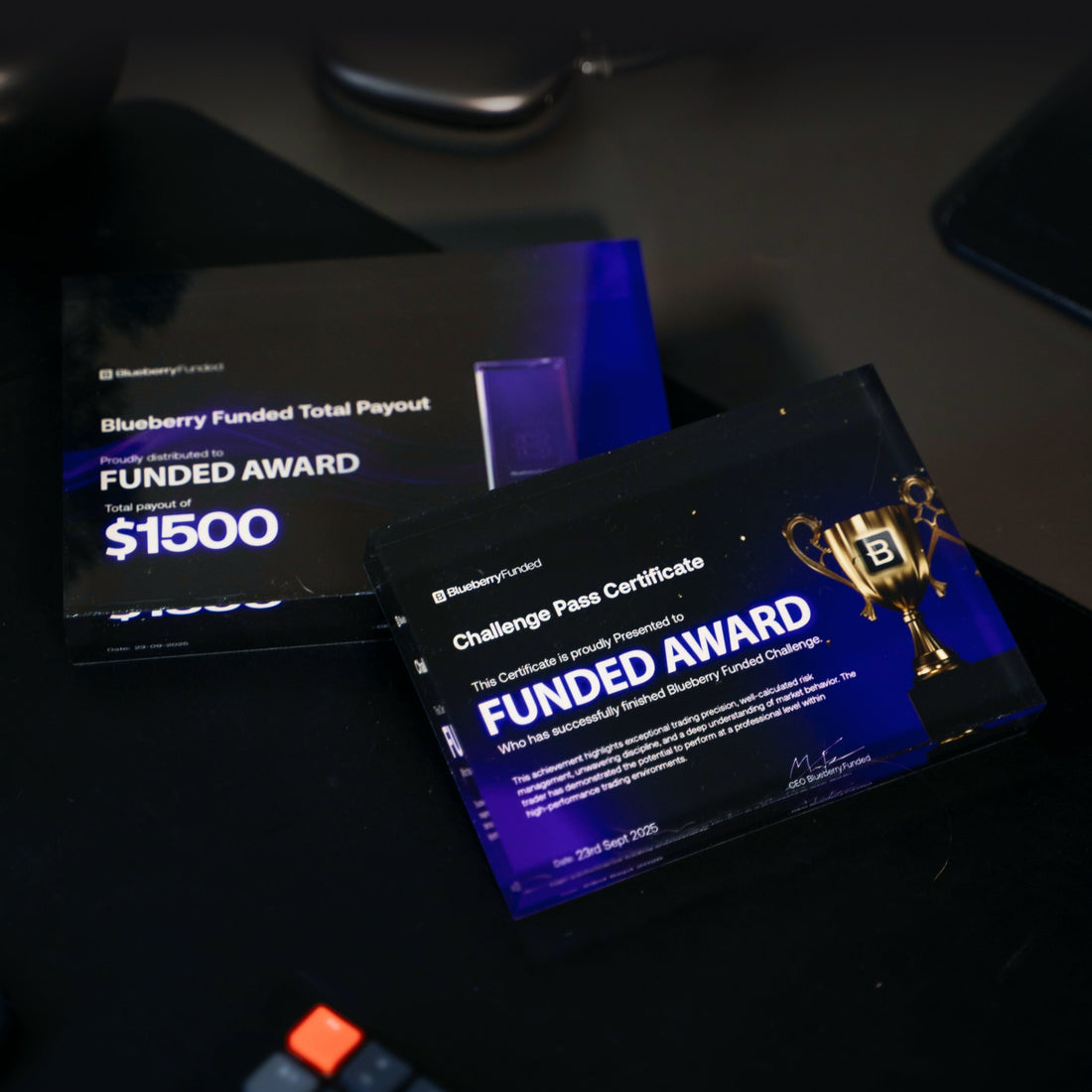 Blueberry Funded Plaque. Backed at Every Level Including This One