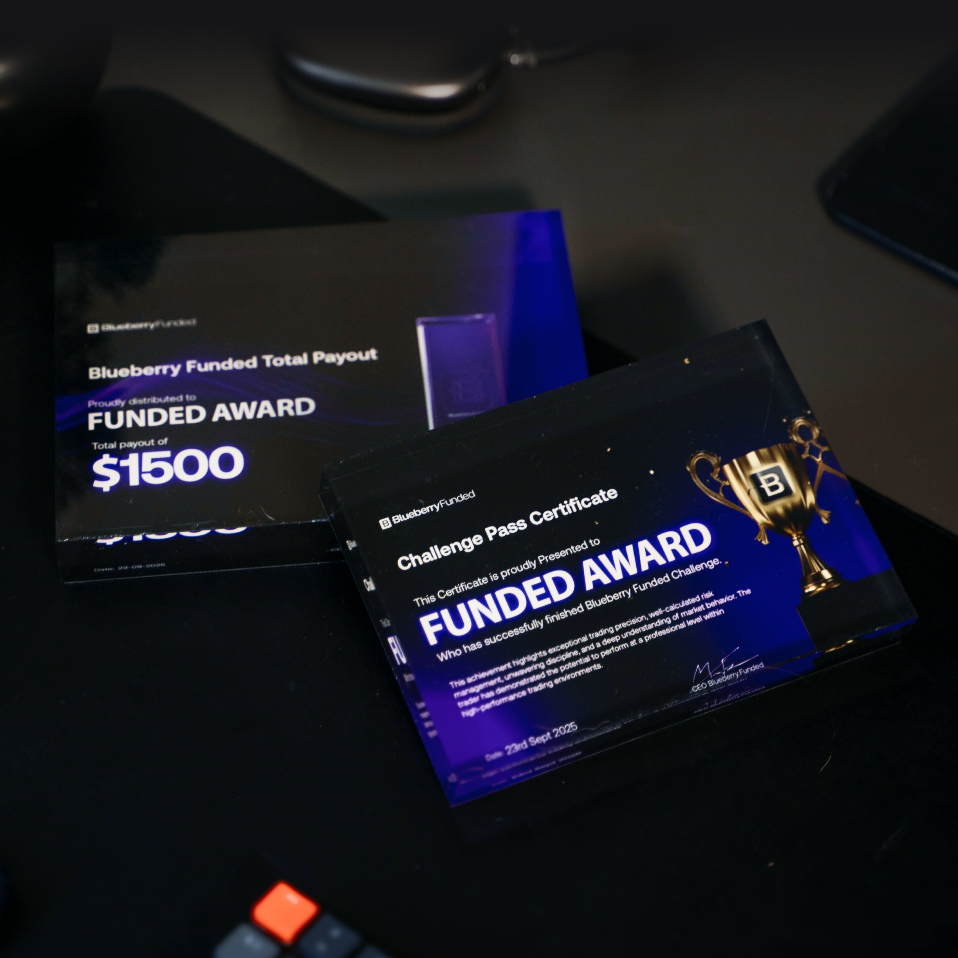 Blueberry Funded Plaque. Backed at Every Level Including This One