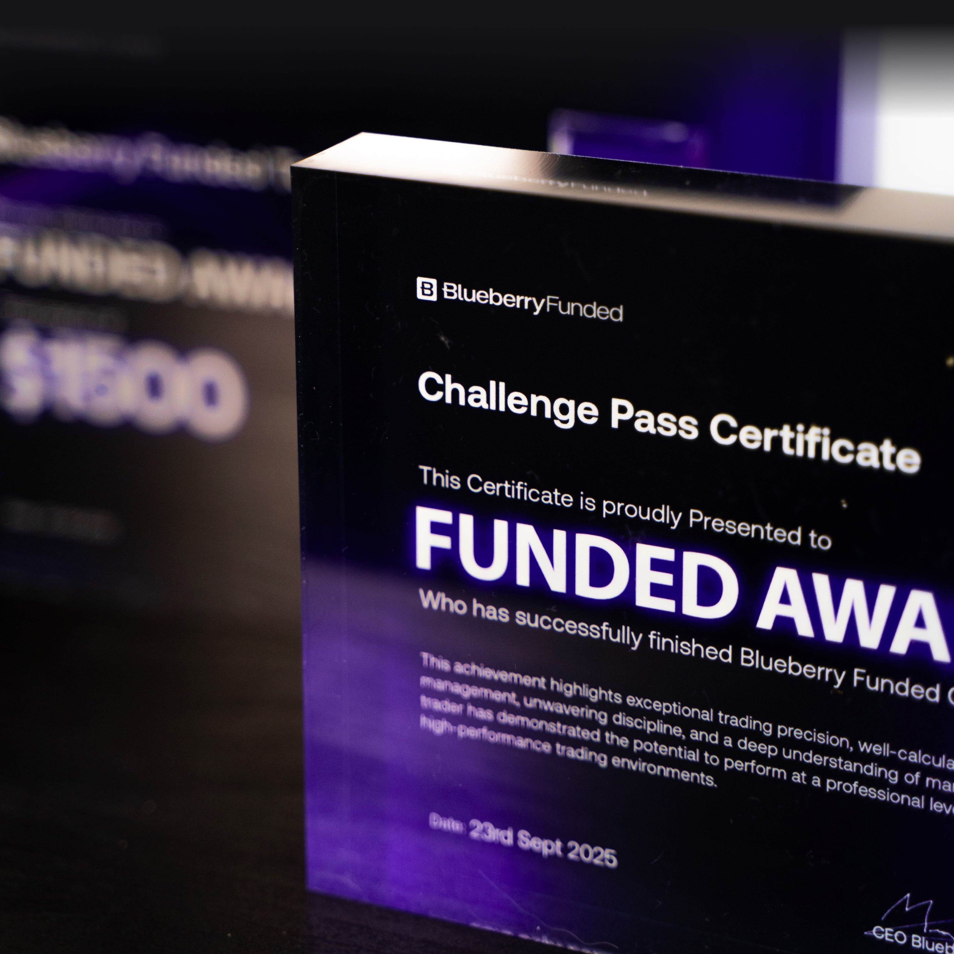 Blueberry Funded AWARD