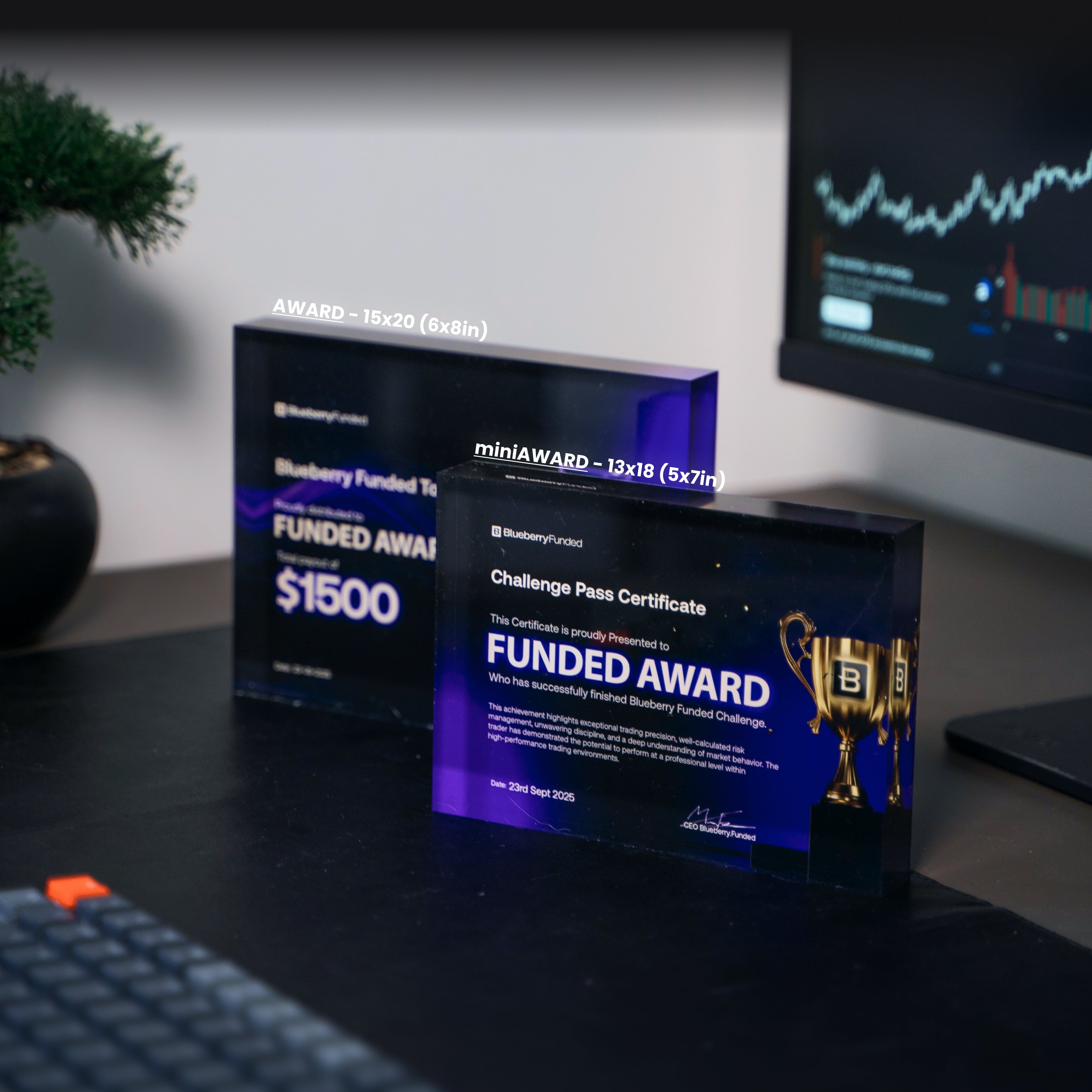 Blueberry Funded AWARD